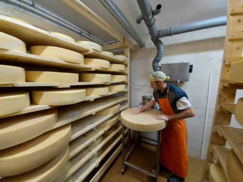 Лучшим сыром России – 2021 признан «Грюйер Патрис Норман» из Ярославской области