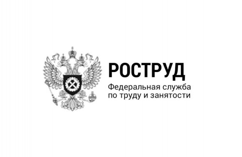 Около четырех тысяч жителей региона легализовали трудовую деятельность благодаря нацпроекту «Кадры»