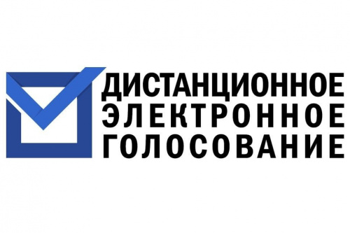 Жители Ярославской области могут стать участниками тестирования системы дистанционного электронного голосования