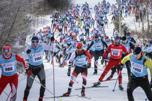 XV Ростех Деминский лыжный марафон пройдет в Ярославской области в начале марта