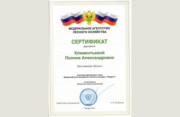 Сохраним наши леса для потомков!