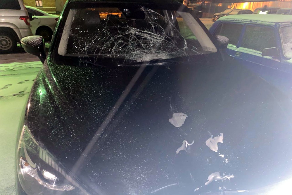 24.11.2025 Углич Некоуз