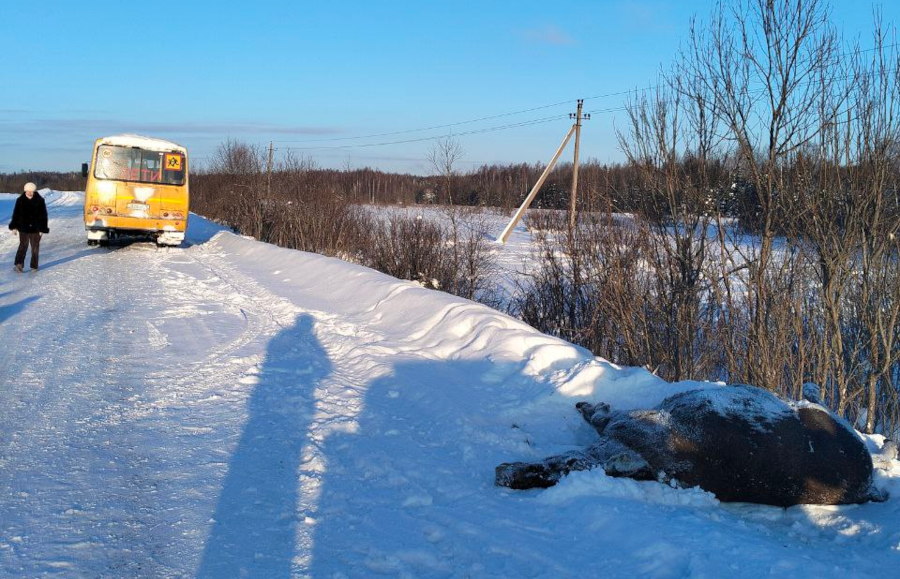 10.02.2026 Покровско Никольское