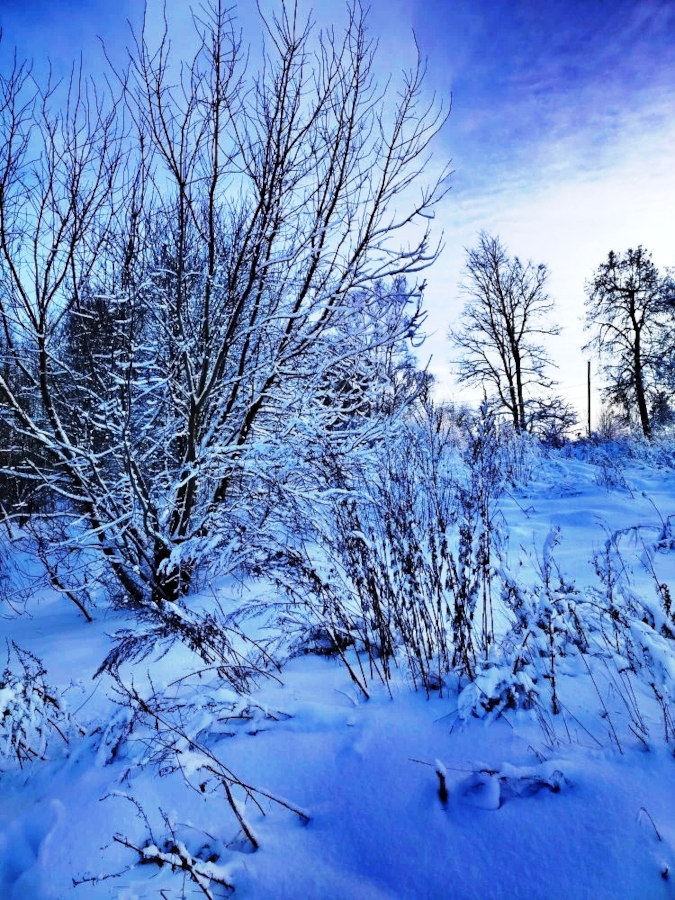 709899голубая природа