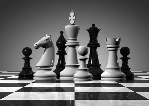В школах и колледжах Ярославской области будут проходить уроки шахмат