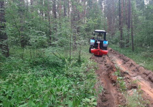 Более 860 километров минерализованных полос создадут в регионе для защиты леса от возгораний