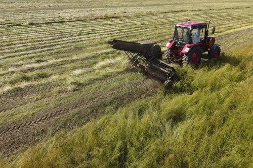 На поддержку АПК Ярославской области направят более 780 млн рублей