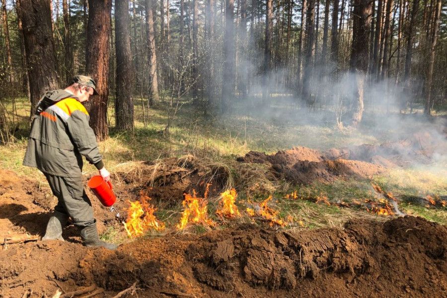 Сводный план тушения лесных пожаров утвержден в Ярославской области