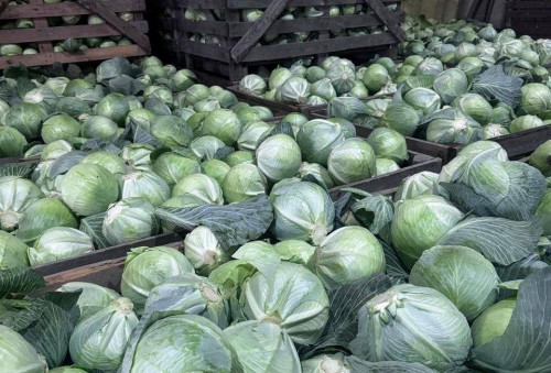 Уборочная кампания в Ярославской области завершилась с хорошими результатами