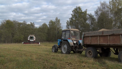 Агрофирма «Авангард»