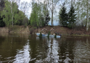 Искусственные нерестилища установили в водохранилищах Ярославской области