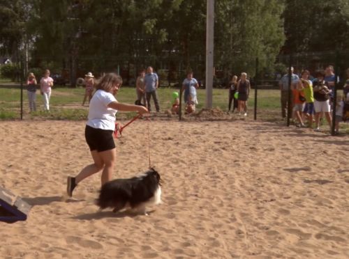 Площадка для выгула собак открылась в Солнечном
