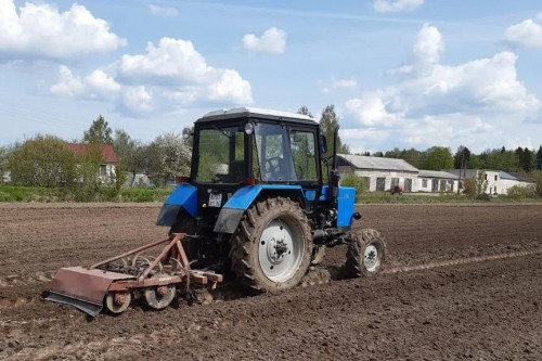 Мероприятия по уходу за лесными культурами в регионе проведут на площади более 11 тысяч гектаров