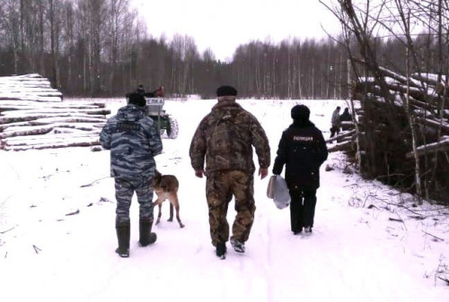 Более 30 уголовных дел возбуждено в регионе по фактам браконьерства в этом году