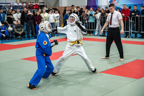 В Угличе прошли VII Межрегиональные соревнования по кудо памяти Э.М. Шереметьевой