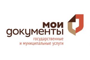 Подать заявку на догазификацию теперь можно через филиалы центров «Мои Документы» в Ярославле