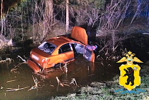 После наезда иномарки на лося в Угличском районе пострадали 3 человека