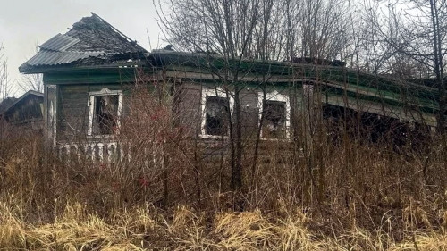 Более 3 тысяч фактически погибших объектов выявлено в Ярославской области с начала года