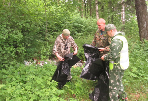 Более 40 кубометров мусора убрано из ярославских лесов
