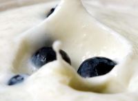 Новая биофабрика в Угличе закроет до 50% потребности рынка в молочной закваске