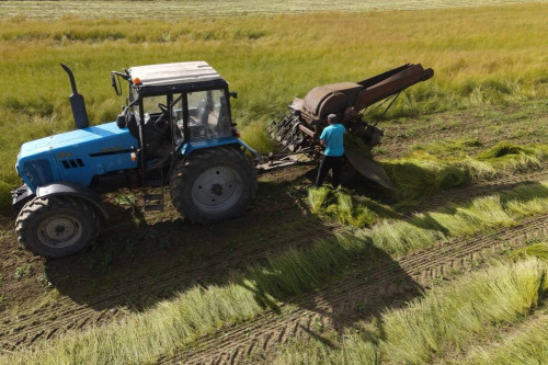 ​Индекс сельхозпроизводства в Ярославской области в 2025 году превысил 104 процента