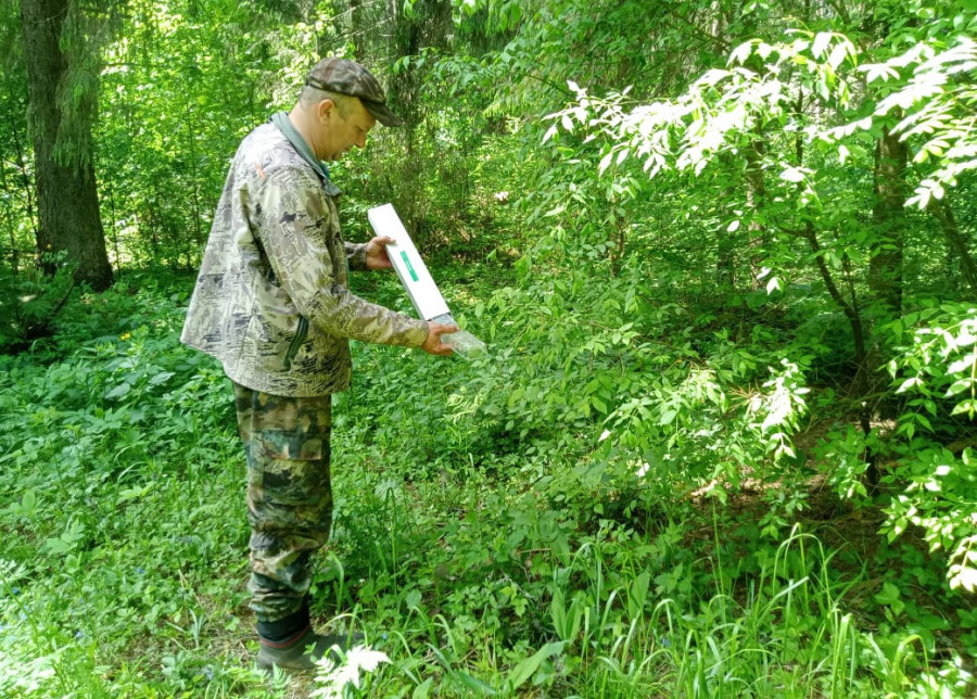 Вакцинация диких животных против бешенства началась в охотугодьях Ярославской области