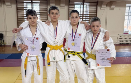 Кубок Вологды по джиу-джитсу в дисциплине "не-ваза"