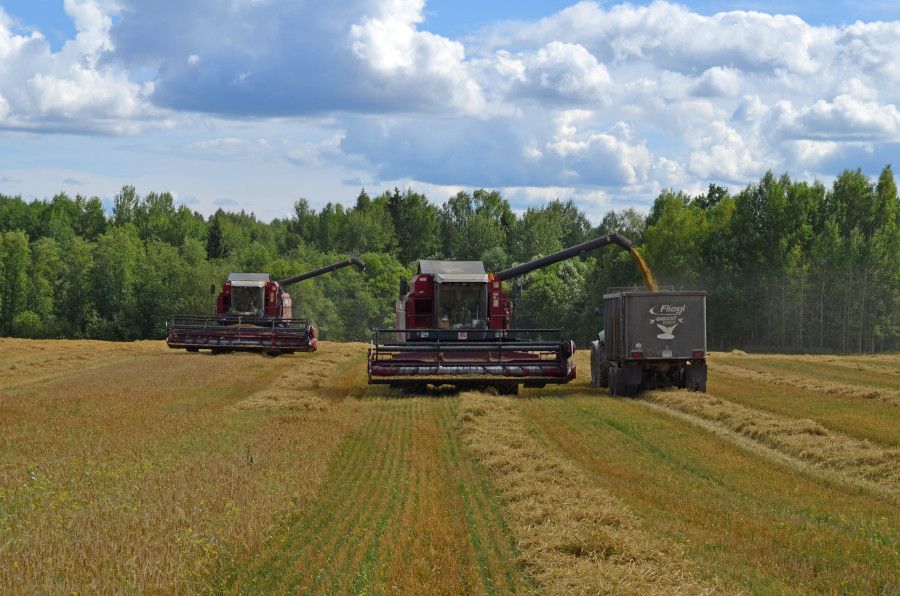 Аграрии Ярославской области завершают уборочную кампанию
