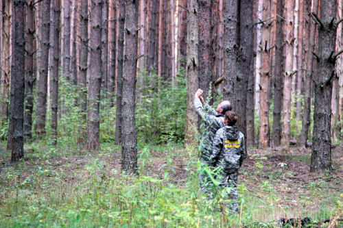 Более 1,2 млн рублей заплатят нарушители лесного законодательства за не уплаченные вовремя штрафы
