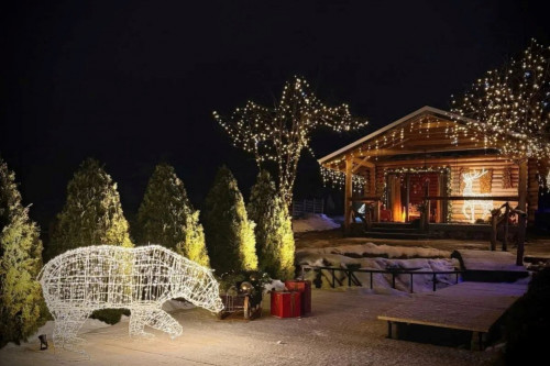 Более 360 заявок подано на областной конкурс зимнего оформления фасадов зданий