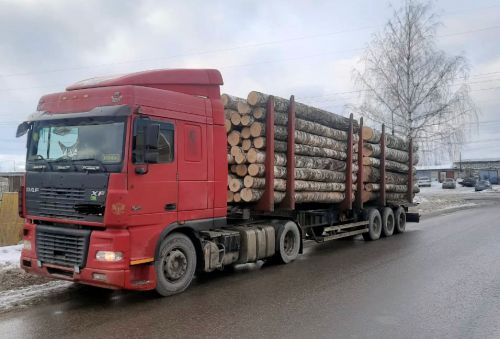 Инспекторы ДПС проверяют автотранспорт, осуществляющий перевозку древесины