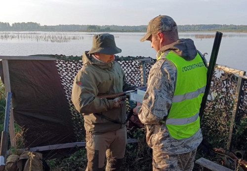 Более 110 нарушений выявлено в рамках патрулирования охотничьих угодий Ярославской области