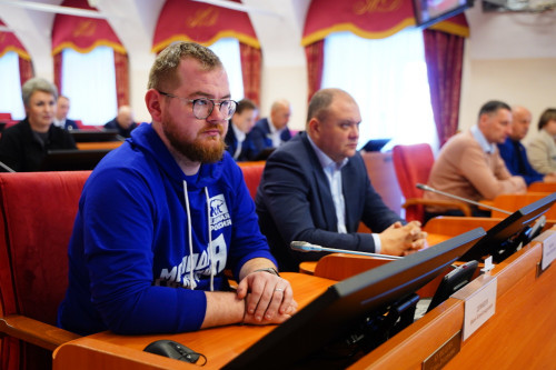 Вопрос развития электрических сетей в садоводческих товариществах обсудили депутаты сразу двух комитетов