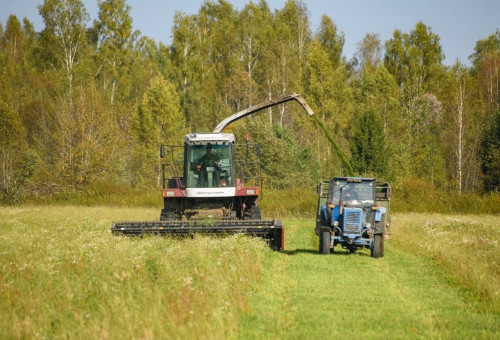 В Ярославской области увеличился валовой сбор зерновых