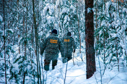 Рейды по предотвращению незаконной рубки елей начались в Ярославской области