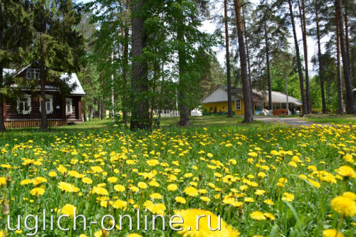 Организованным отдыхом в этом году в регионе будет охвачено более 80 тысяч детей