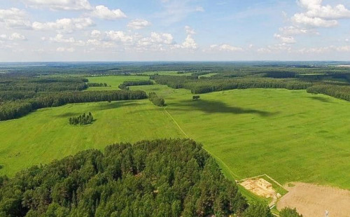 Подготовка почвы под искусственное лесовосстановление началась в Ярославской области