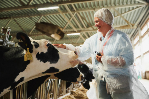 Специалистам агросектора в Ярославской области предлагают зарплату более 80 тысяч рублей