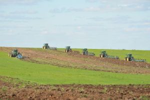 Сельхозпроизводители Ярославской области планируют увеличить валовой сбор овощей и зерна