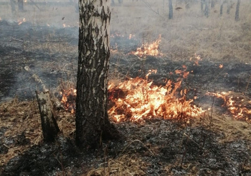 В Ярославской области открыт пожароопасный сезон