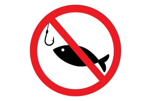 Ограничения на рыбную ловлю