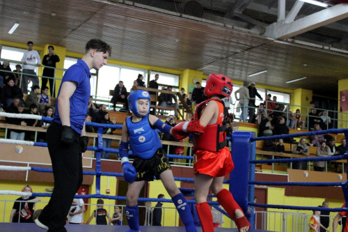 Чемпионат и Первенство Ярославской области по муайтай