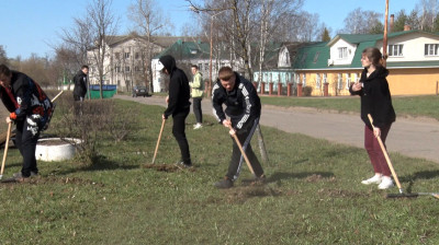 Навели порядок на аллее