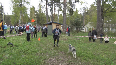 Бежит «Лохматый десант»