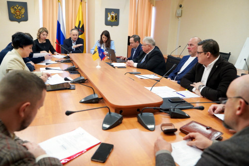 В Думе прошло совещание по вопросам развития спорта