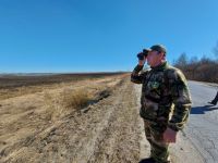 С начала сезона весенней охоты в Ярославской области пресечено 40 нарушений