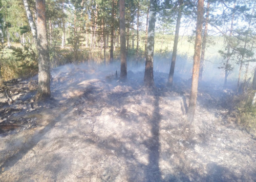 Все возгорания на территории лесного фонда Ярославской области оперативно ликвидированы