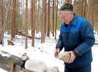 Охотники Ярославской области участвуют в мероприятиях по подкормке животных и обустройству солонцов