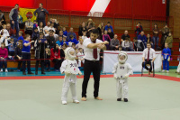 В Ярославле прошел турнир по КУДО для спортсменов первого года обучения